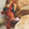 Color Stuffed Dinosaur Dog Sounding Toy