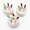 Dog dental plush toys