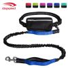 Hands Free Dog Leash with Zipper Pouch